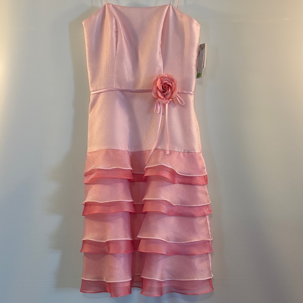 Elegant Pink Layered Dress